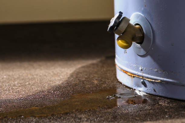 Best Ceiling water damage repair  in Bronx, NY