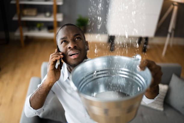 Best 24-hour water damage restoration  in Bronx, NY