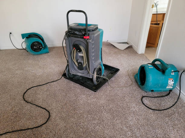  Bronx, NY Water damage restoration Pros