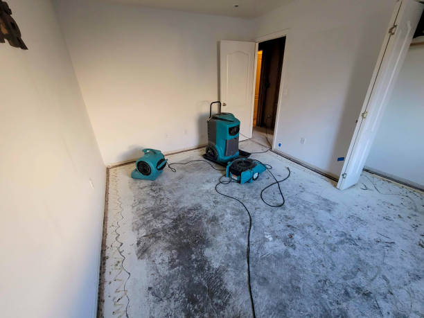 Best Flood damage cleanup  in Bronx, NY