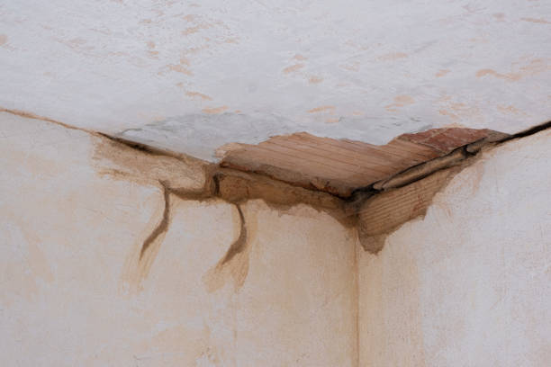 Best Water damage restoration near me  in Bronx, NY
