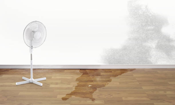 Best Sewage cleanup and water damage restoration  in Bronx, NY