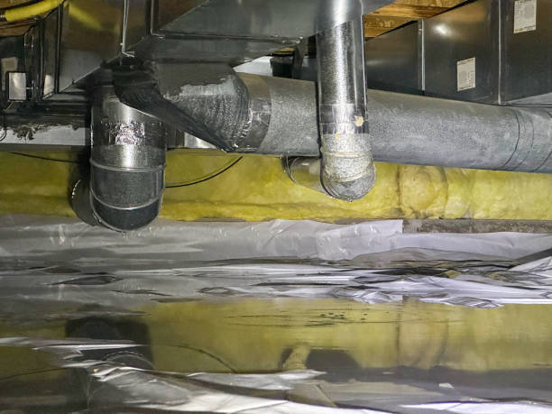 Best 24/7 water damage repair  in Bronx, NY