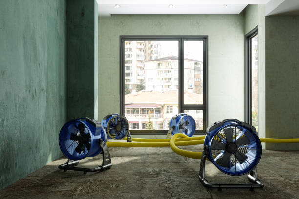 Best Professional water damage repair  in Bronx, NY